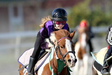 (�̿����ɤ��ڤ���Υ����ʤ���)