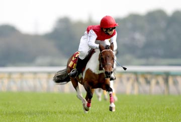 (�̿������μ��1��)