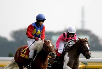 (�̿���JB�����ʡ��)