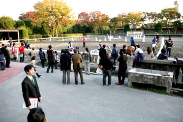 (�̿�����������������)