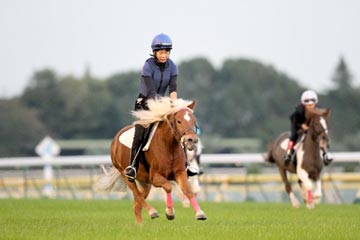 (�̿���JB�������(ʡ�ס�����)