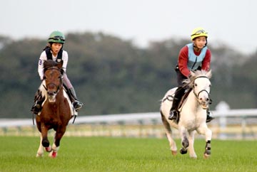 (�̿���JB��ϹӰ���ڲ�)