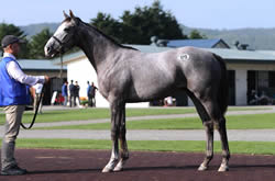 ����1�Фκǹ���ʤϥ������������ʥåĤ�2012