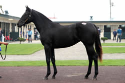 2���ܤκǹ���ʤϥ����ϥ���ǥ�2012