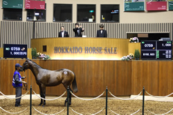 �ǽ����κǹ���ʤϥեߥΥ���ҥ��2012