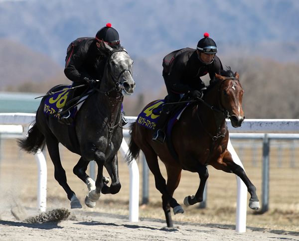 1�֤�63�֤Υڥ�