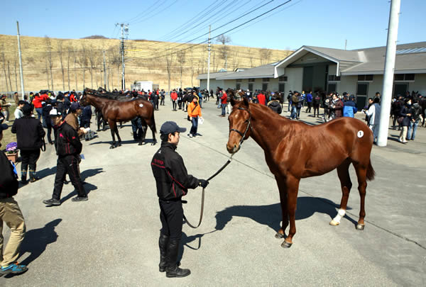 JRA������Ÿ����