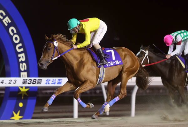 ��֥ߡ��֥롼