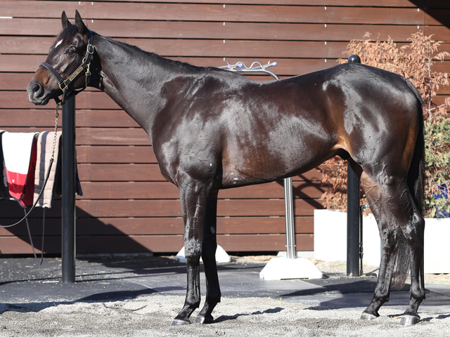 ������������Х�