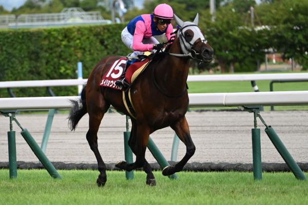 【神戸新聞杯予想】一昔前の競馬格言は通用しない馬場で行われる神戸新聞杯