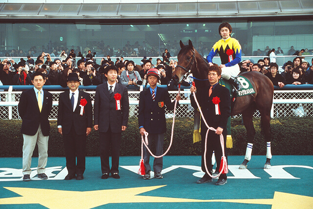 ʡʵؤդ󥰥ϥϤθꥷ