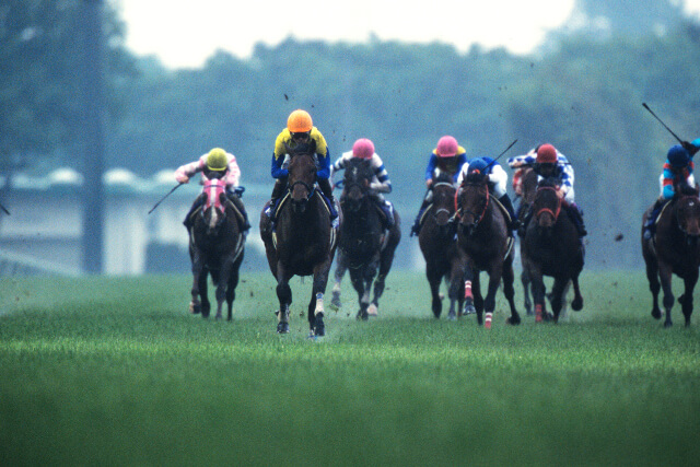 ƣʵμˤƳNHKޥ륫åפ