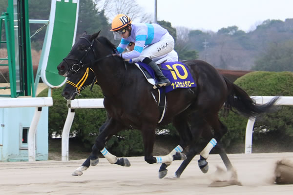 名古屋大賞典 今後を占う一戦は飛躍を目指す 4歳馬に注目