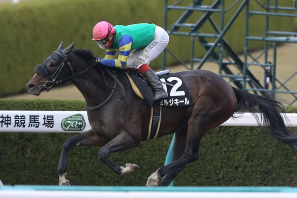 名古屋大賞典 今後を占う一戦は飛躍を目指す 4歳馬に注目