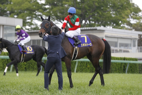 売り出し純正品 競馬 勝負服 ヒダカ・ブリーダーズ・ユニオン その他