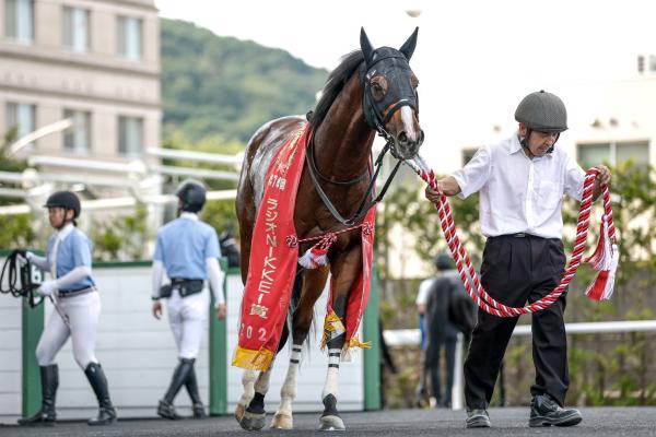 【北九州記念 AI予想】今週は見解が完全一致！ AIの挙げた連軸候補の強みをチェック