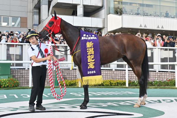 【紫苑S AI予想】この相手なら魅力十分!? 好調なAiは人気の盲点になりそうな実績馬を指名