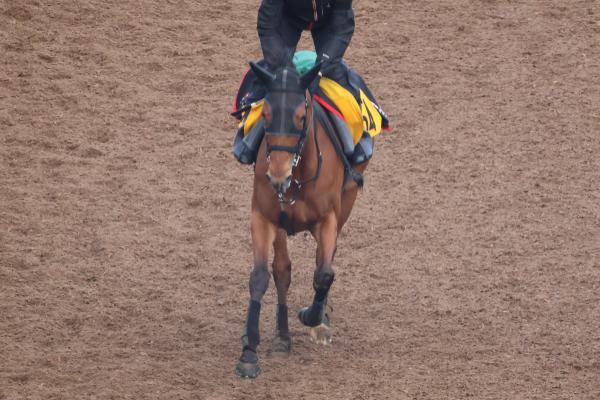 調教Gメン研究所