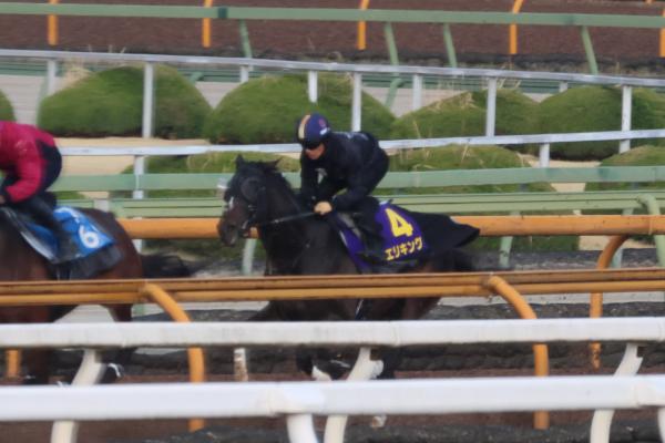 調教Gメン研究所