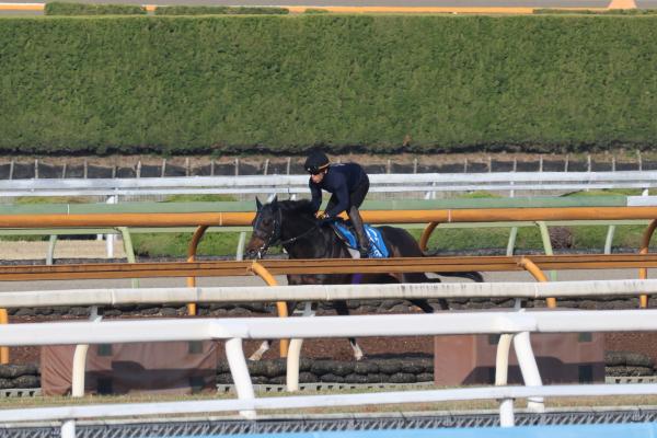 調教Gメン研究所