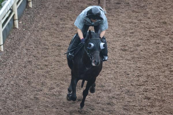 調教Gメン研究所