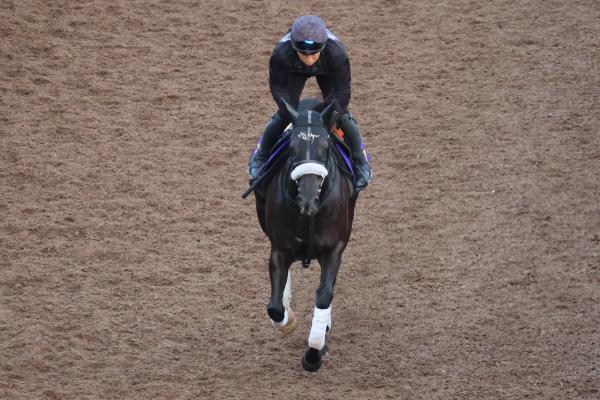 調教Gメン研究所