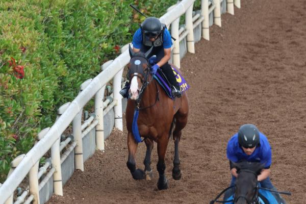 調教Gメン研究所