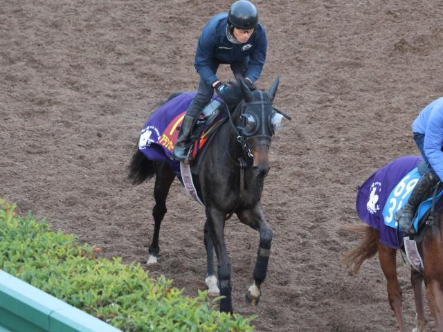 調教Gメン研究所