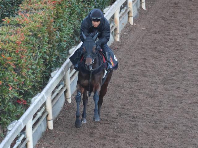 調教Gメン研究所