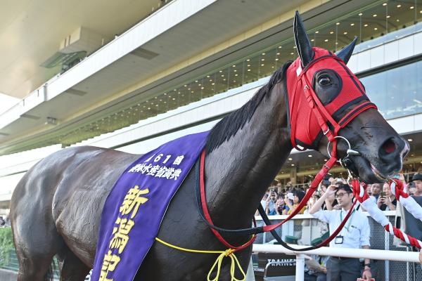 【新潟記念】5歳牝馬シランケドが重賞2勝目 スローの展開を上がり最速「32秒4」の末脚で差し切る