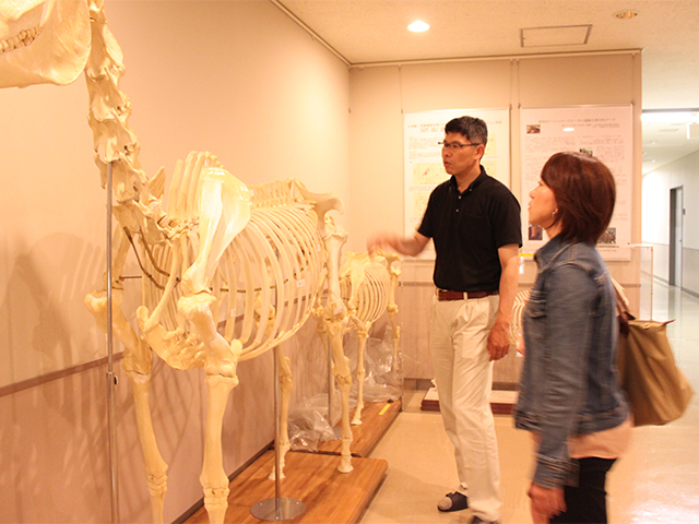 ミルコレビュー