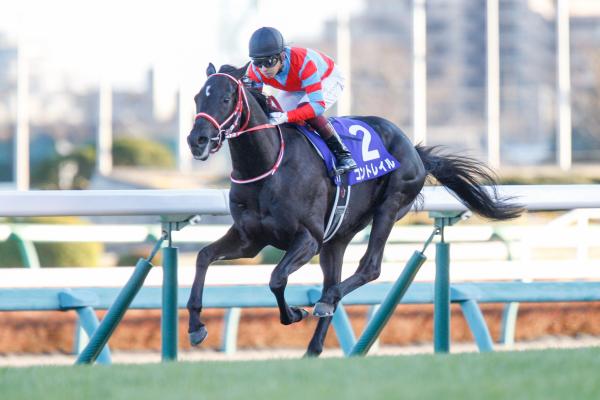 ホープフルＳ2019結果】コントレイルが無傷3連勝でG1制覇！ | 競馬 