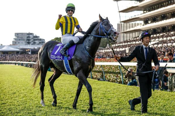 【天皇賞(秋)回顧】豪華メンバー勢揃いでジャパンCの好走に期待 天皇賞(秋)への回顧とは