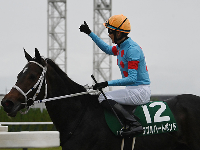 とうけいば回顧