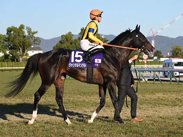 とうけいば回顧