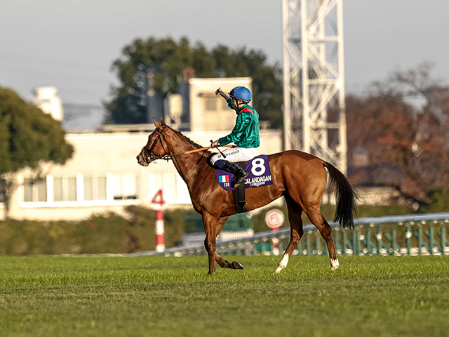 とうけいば回顧