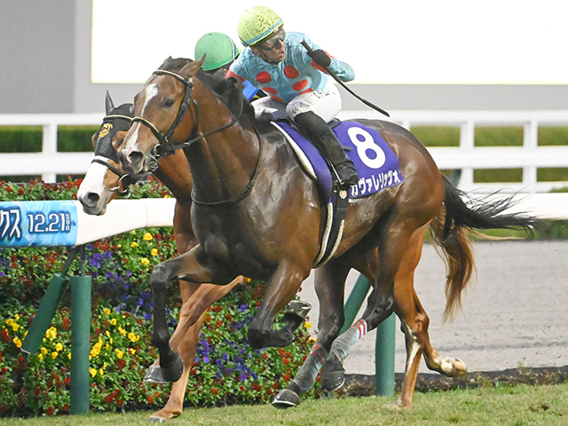 �Ȥ������в��