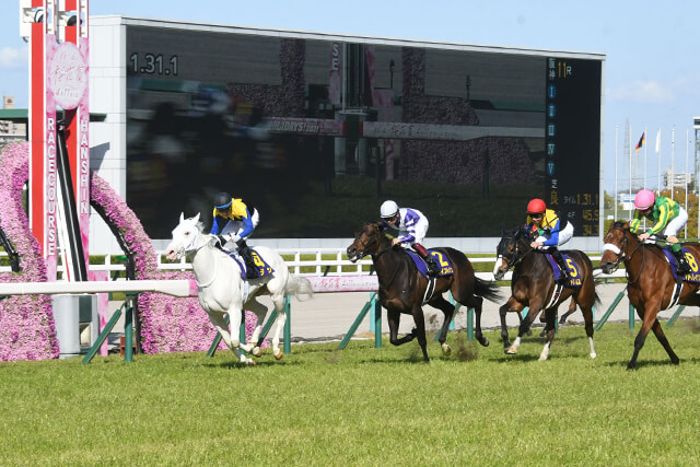 【桜花賞回顧】1、2番人気のワンツー決着でも高回収できた