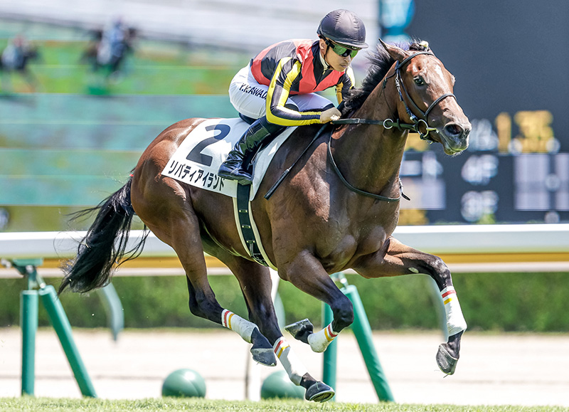 テイエムオーシャン単勝馬券 - その他