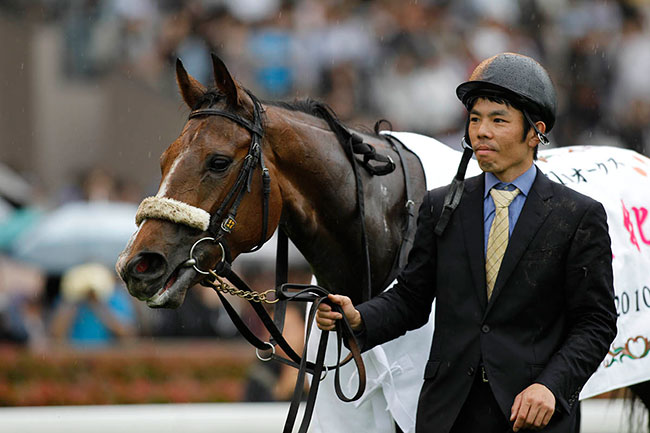 福田好訓助手 アパパネは 朝 起きない 笑 競馬の究極の原点 競走馬は生き物である