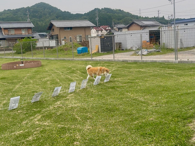 ϥ饨ƥBOX