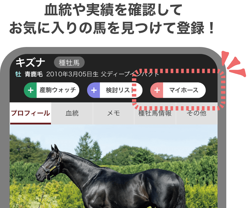 血統や実績を確認して<br>お気に入りの馬を見つけて登録!イメージ