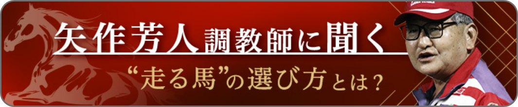 矢作調教師に聞く 走る馬の選び方とは?