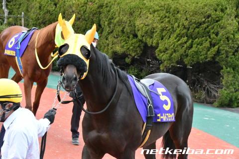 ゴールドシップの母 ポイントフラッグ 新馬戦 （ゴールドシップ