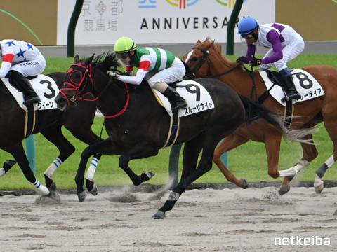 スルーザナイトの新馬データ | 一口馬主データ - netkeiba