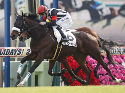 カレンブーケドールの新馬データ | 一口馬主データ - netkeiba カレンブーケドールの新馬データ | 一口馬主データ - netkeiba