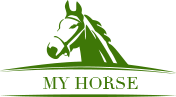 MY HORSE