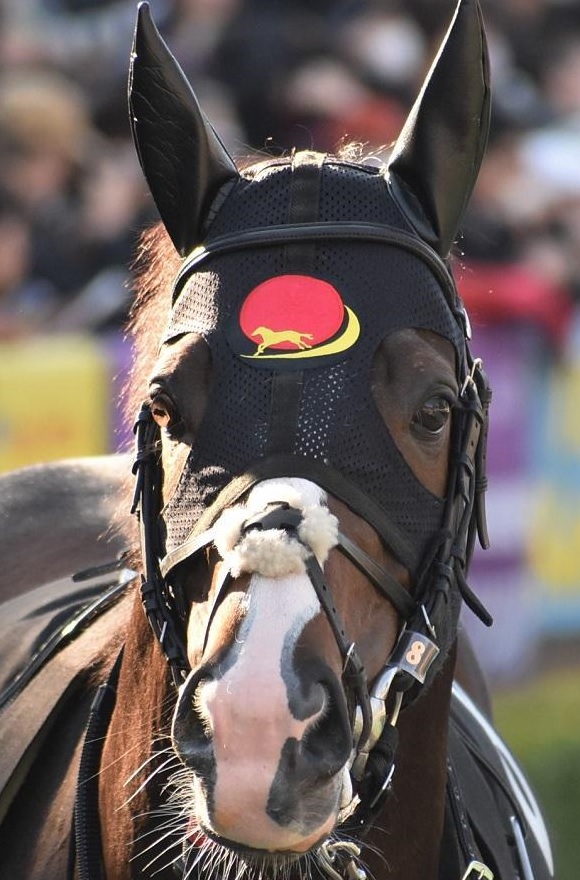 ジャパンカップ2023特集 | netkeiba.com 競馬予想・結果・速報・オッズ