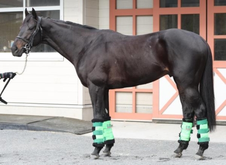 有馬記念(G1) 結果・払戻 | 2017年12月24日 中山11R レース情報