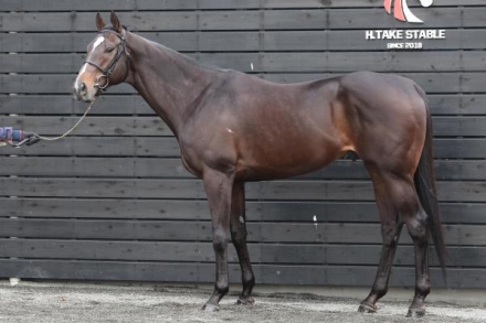 ペプチドナイル（Peptide Nile） | 競馬データベース | JRA-VAN